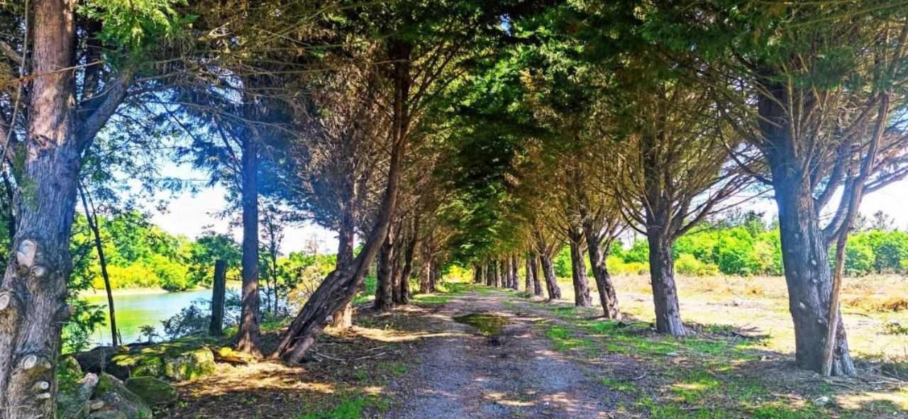 Hébergement de vacances Pena Da Osa *